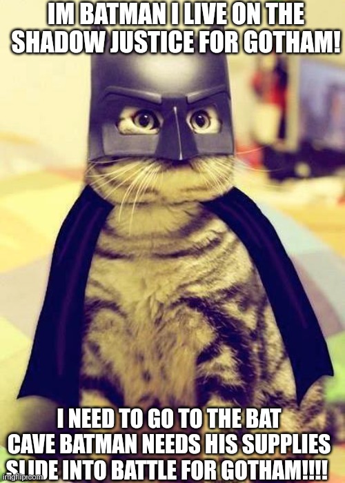 Batman cat | IM BATMAN I LIVE ON THE SHADOW JUSTICE FOR GOTHAM! I NEED TO GO TO THE BAT CAVE BATMAN NEEDS HIS SUPPLIES SLIDE INTO BATTLE FOR GOTHAM!!!! | image tagged in batman cat | made w/ Imgflip meme maker