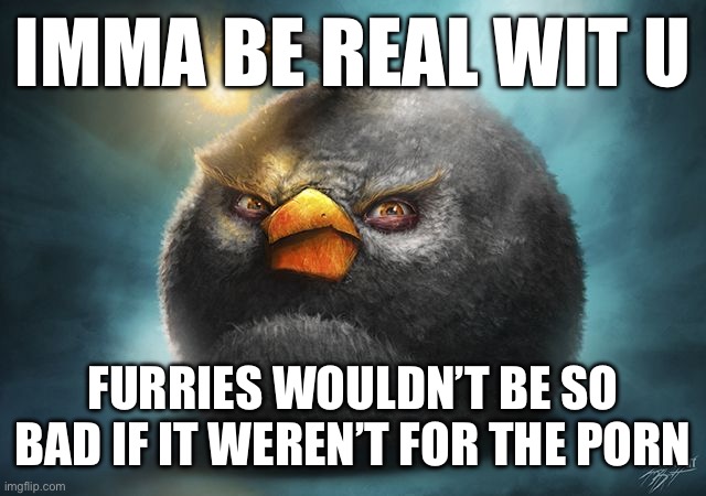 angry birds bomb | IMMA BE REAL WIT U; FURRIES WOULDN’T BE SO BAD IF IT WEREN’T FOR THE PORN | image tagged in angry birds bomb | made w/ Imgflip meme maker