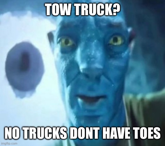 Avatar guy | TOW TRUCK? NO TRUCKS DONT HAVE TOES | image tagged in avatar guy | made w/ Imgflip meme maker