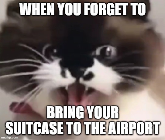 idek | WHEN YOU FORGET TO; BRING YOUR SUITCASE TO THE AIRPORT | image tagged in scary car | made w/ Imgflip meme maker