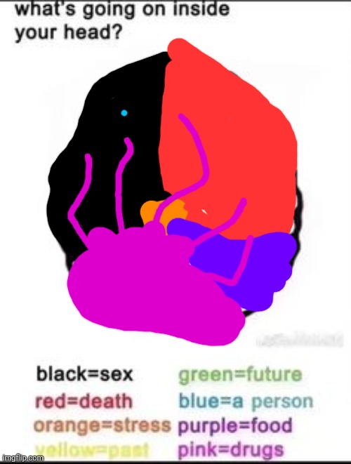 What's going on inside your head? | image tagged in what's going on inside your head | made w/ Imgflip meme maker