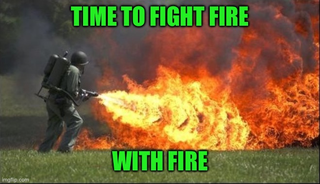 Kill it with fire | TIME TO FIGHT FIRE WITH FIRE | image tagged in kill it with fire | made w/ Imgflip meme maker