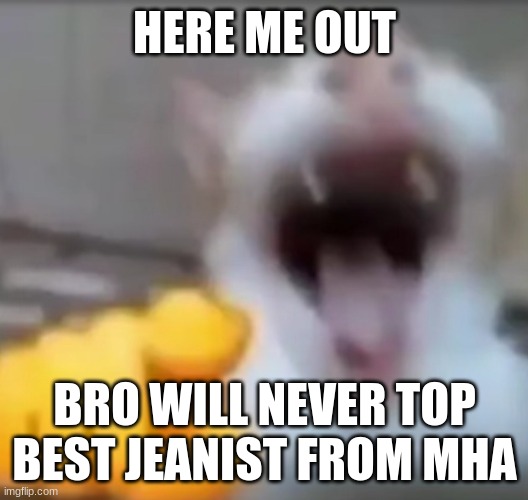 Cat pointing and laughing | HERE ME OUT BRO WILL NEVER TOP BEST JEANIST FROM MHA | image tagged in cat pointing and laughing | made w/ Imgflip meme maker