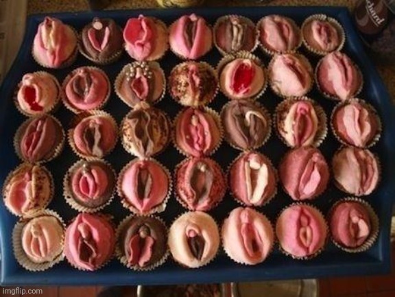 Vagina Cupcakes | image tagged in vagina cupcakes | made w/ Imgflip meme maker