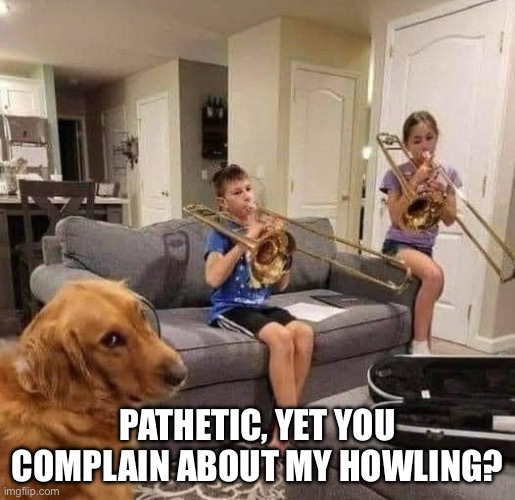 Doggie howl is way better | PATHETIC, YET YOU COMPLAIN ABOUT MY HOWLING? | image tagged in dogs,dog,howl,trumpet | made w/ Imgflip meme maker