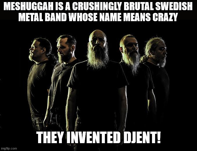 Part 13 in a series | MESHUGGAH IS A CRUSHINGLY BRUTAL SWEDISH
METAL BAND WHOSE NAME MEANS CRAZY; THEY INVENTED DJENT! | image tagged in metal | made w/ Imgflip meme maker