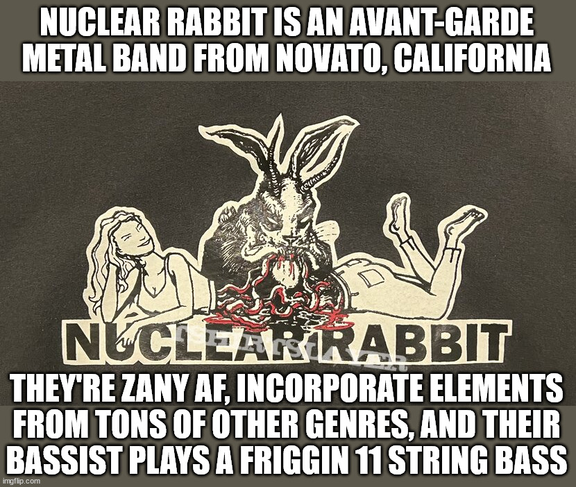 Part 14 in a series | NUCLEAR RABBIT IS AN AVANT-GARDE METAL BAND FROM NOVATO, CALIFORNIA; THEY'RE ZANY AF, INCORPORATE ELEMENTS
FROM TONS OF OTHER GENRES, AND THEIR
BASSIST PLAYS A FRIGGIN 11 STRING BASS | image tagged in metal | made w/ Imgflip meme maker