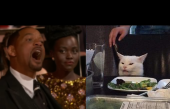 Will Smith yelling at cat Blank Meme Template