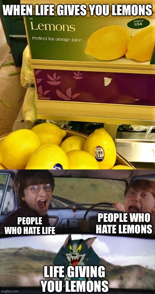 When life throws lemons at you | WHEN LIFE GIVES YOU LEMONS; PEOPLE WHO HATE LEMONS; PEOPLE WHO HATE LIFE; LIFE GIVING YOU LEMONS | image tagged in when life gives you lemons,tom chasing harry and ron weasly,lemons | made w/ Imgflip meme maker