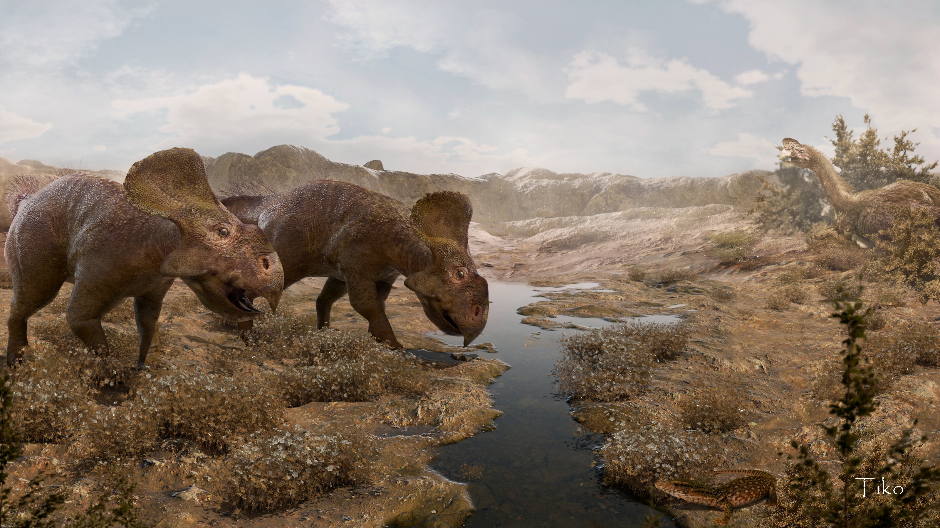 Protoceratops | image tagged in protoceratops | made w/ Imgflip meme maker