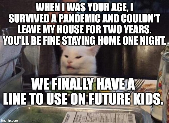 Smudge that darn cat | WHEN I WAS YOUR AGE, I SURVIVED A PANDEMIC AND COULDN'T LEAVE MY HOUSE FOR TWO YEARS. YOU'LL BE FINE STAYING HOME ONE NIGHT. WE FINALLY HAVE A LINE TO USE ON FUTURE KIDS. | image tagged in smudge that darn cat | made w/ Imgflip meme maker