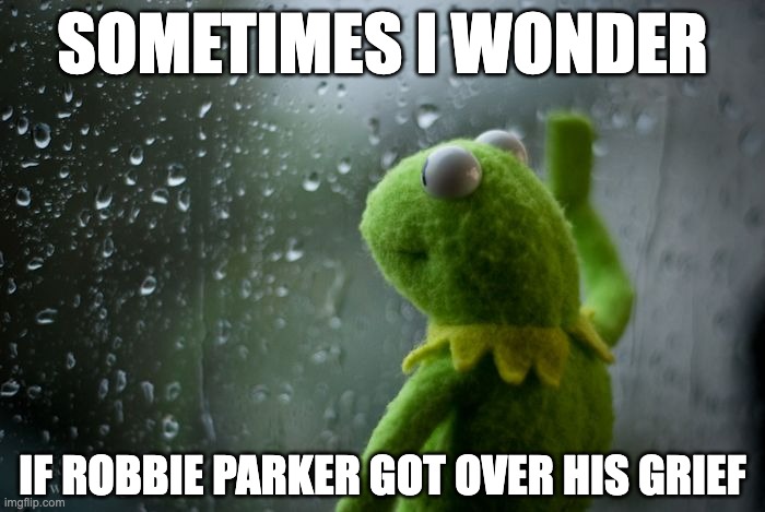 robbie parker | SOMETIMES I WONDER; IF ROBBIE PARKER GOT OVER HIS GRIEF | image tagged in kermit window,sandy hook,shooting hoax,fake terror,autohoax | made w/ Imgflip meme maker