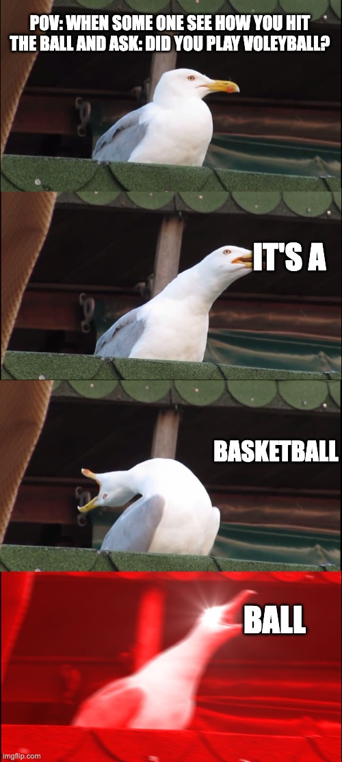 when some one see how you hit the ball | POV: WHEN SOME ONE SEE HOW YOU HIT THE BALL AND ASK: DID YOU PLAY VOLEYBALL? IT'S A; BASKETBALL; BALL | image tagged in memes,inhaling seagull | made w/ Imgflip meme maker