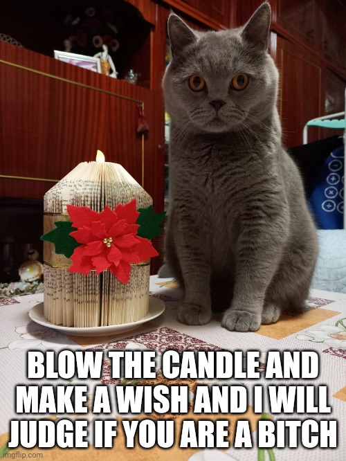 Judging Winston | BLOW THE CANDLE AND MAKE A WISH AND I WILL JUDGE IF YOU ARE A BITCH | image tagged in judging winston | made w/ Imgflip meme maker