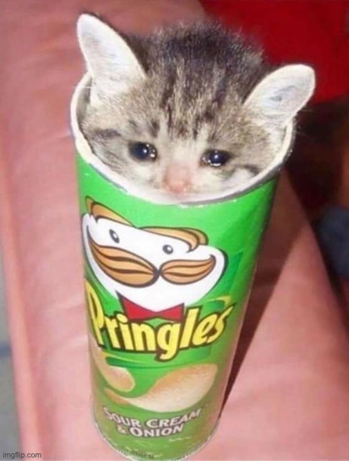 He ate me Pringles | made w/ Imgflip meme maker