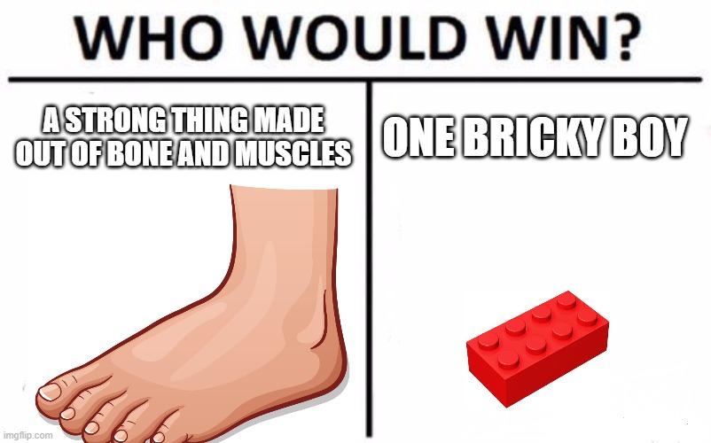 Who would win a foot or a Lego brick | A STRONG THING MADE OUT OF BONE AND MUSCLES; ONE BRICKY BOY | image tagged in memes,who would win | made w/ Imgflip meme maker
