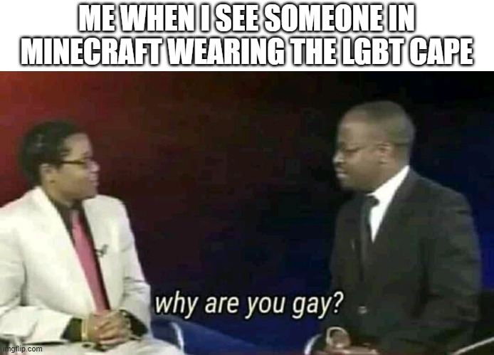 why are you ge | ME WHEN I SEE SOMEONE IN MINECRAFT WEARING THE LGBT CAPE | image tagged in why are you gay,minecraft,memes,lgbtq,cape | made w/ Imgflip meme maker