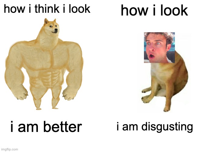 Buff Doge vs. Cheems | how i think i look; how i look; i am better; i am disgusting | image tagged in memes,buff doge vs cheems | made w/ Imgflip meme maker