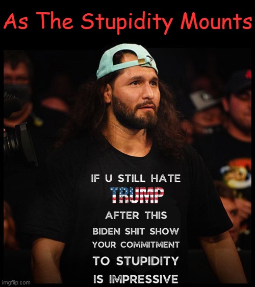 Even More True Today | As The Stupidity Mounts | image tagged in politics,joe biden,idiocracy,stupidity,truth,mental health | made w/ Imgflip meme maker