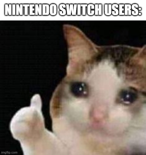 Approved crying cat | NINTENDO SWITCH USERS: | image tagged in approved crying cat | made w/ Imgflip meme maker
