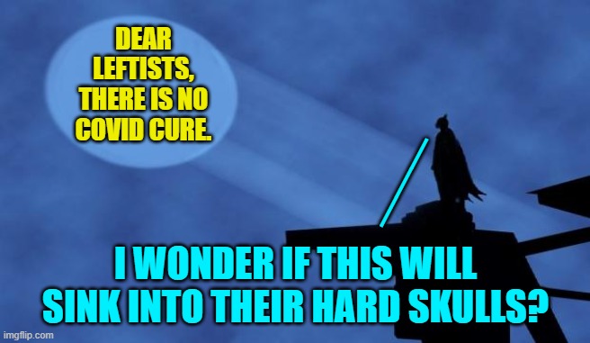 Trump did not delay a cure, because there never has been a cure.  Sheesh! | DEAR LEFTISTS, THERE IS NO COVID CURE. ___; I WONDER IF THIS WILL SINK INTO THEIR HARD SKULLS? | image tagged in batman signal | made w/ Imgflip meme maker