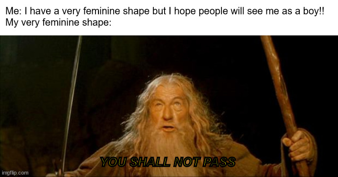I try so hard but yk how it is | Me: I have a very feminine shape but I hope people will see me as a boy!!
My very feminine shape:; YOU SHALL NOT PASS | image tagged in gandalf you shall not pass,transgender | made w/ Imgflip meme maker