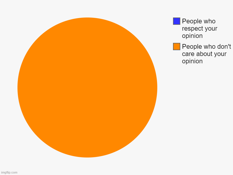 Send this so someone that roasted you | People who don't care about your opinion, People who respect your opinion | image tagged in charts,pie charts | made w/ Imgflip chart maker