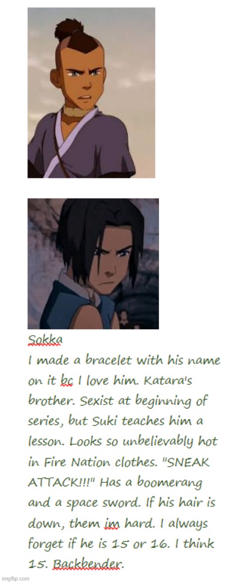 casual reminder that i am a girl. Explaining ATLA characters part 2 | image tagged in sokka,atla,currently listening to avatar's love | made w/ Imgflip meme maker