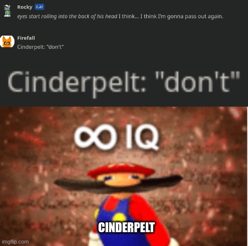 Cinderpelt, the highest IQ | CINDERPELT | image tagged in infinite iq,ai meme,big brain | made w/ Imgflip meme maker