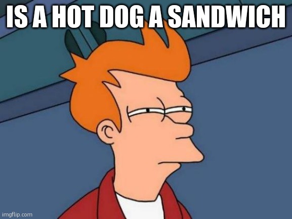 Futurama Fry | IS A HOT DOG A SANDWICH | image tagged in memes,futurama fry | made w/ Imgflip meme maker