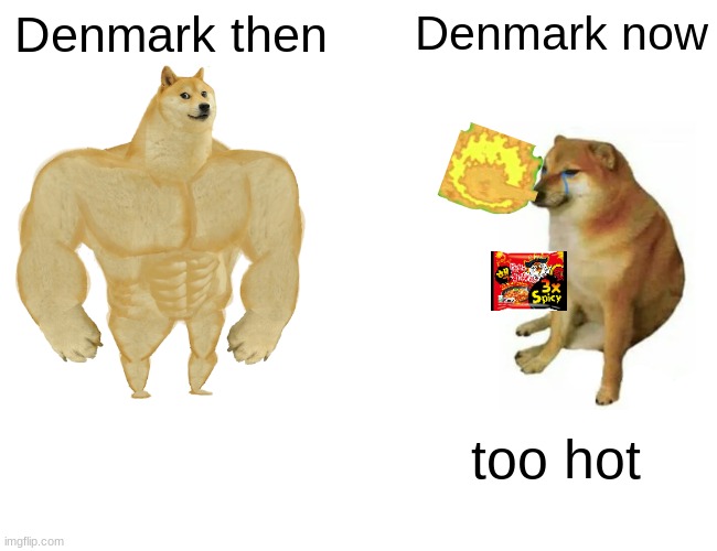Explanation in comments | Denmark then; Denmark now; too hot | image tagged in memes,buff doge vs cheems | made w/ Imgflip meme maker