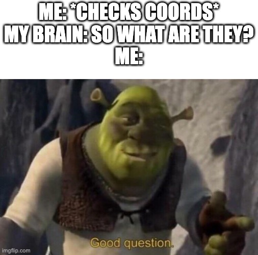 erm.... | ME: *CHECKS COORDS*
MY BRAIN: SO WHAT ARE THEY?
ME: | image tagged in shrek good question,gaming,funny memes,minecraft | made w/ Imgflip meme maker