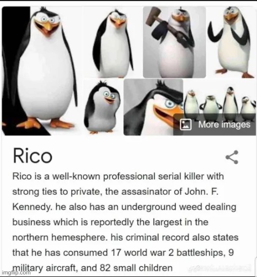 meet rico | image tagged in jdmsn | made w/ Imgflip meme maker