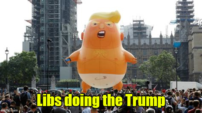 Libs doing the Trump | made w/ Imgflip meme maker