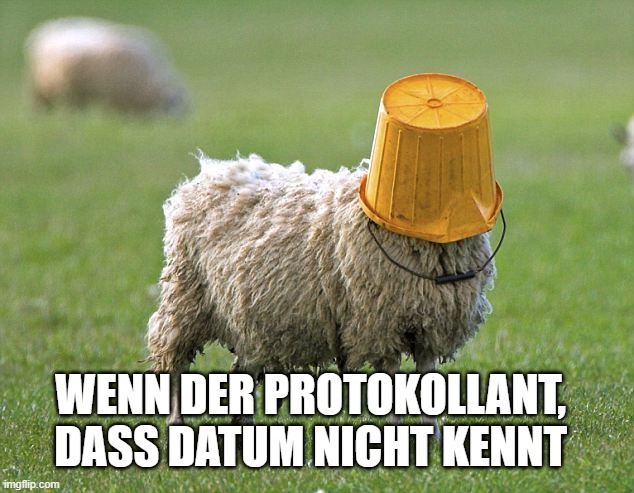 stupid sheep | WENN DER PROTOKOLLANT, DASS DATUM NICHT KENNT | image tagged in stupid sheep | made w/ Imgflip meme maker