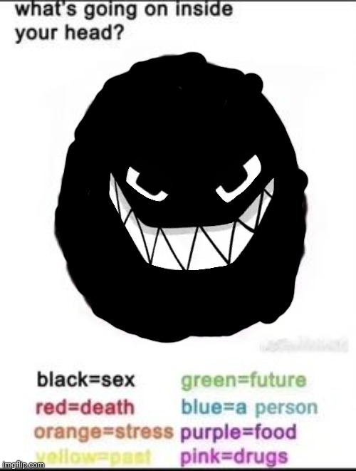 What's going on inside your head? | image tagged in what's going on inside your head | made w/ Imgflip meme maker