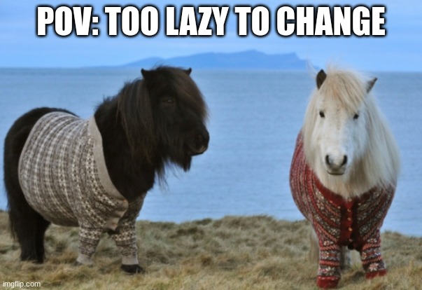 Pajama Ponies | POV: TOO LAZY TO CHANGE | image tagged in horses,ponies,pajamas | made w/ Imgflip meme maker