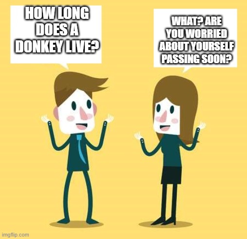 a meme I stole from facebook translated from Polish and put into proper meme format | HOW LONG DOES A DONKEY LIVE? WHAT? ARE YOU WORRIED ABOUT YOURSELF PASSING SOON? | image tagged in two people talking 2,facebook meme,translated roughly | made w/ Imgflip meme maker