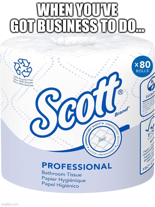 Professional toilet paper | WHEN YOU’VE GOT BUSINESS TO DO… | image tagged in toilet paper | made w/ Imgflip meme maker