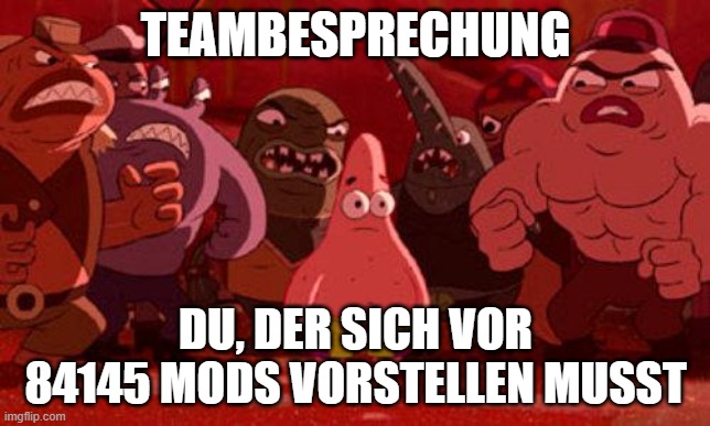 Patrick Star crowded | TEAMBESPRECHUNG; DU, DER SICH VOR 84145 MODS VORSTELLEN MUSST | image tagged in patrick star crowded | made w/ Imgflip meme maker