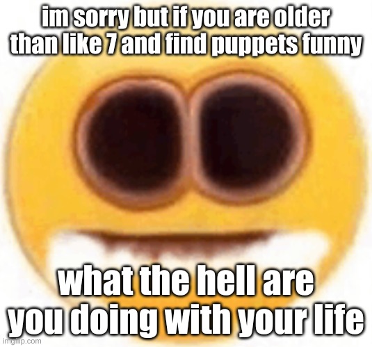 not tryna judge im just lowkey mad at someone (bitch better be careful with me shit before she's dead) | im sorry but if you are older than like 7 and find puppets funny; what the hell are you doing with your life | image tagged in emoji foaming at the mouth | made w/ Imgflip meme maker