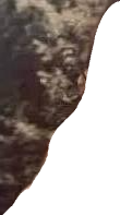 Follaje ah, bueno, chingo mi madre Meme Template