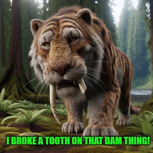 I BROKE A TOOTH ON THAT DAM THING! | made w/ Imgflip meme maker