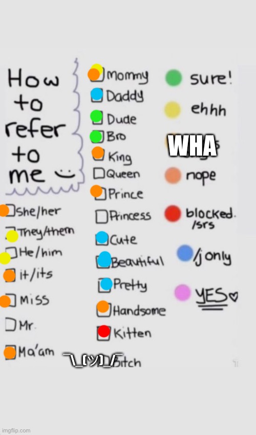 How To Refer To Me :) | WHA; ¯\_(ツ)_/¯ | image tagged in how to refer to me | made w/ Imgflip meme maker