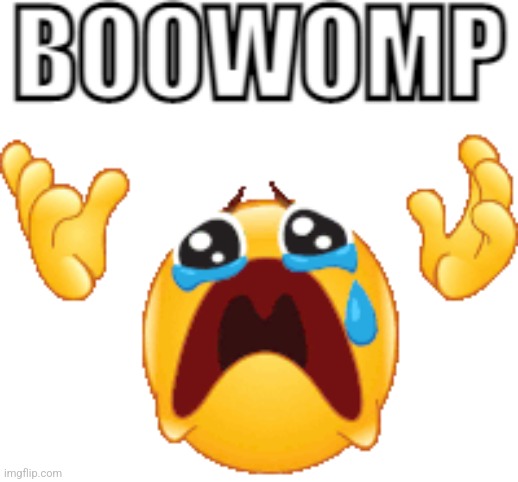 boowomp | image tagged in boowomp | made w/ Imgflip meme maker