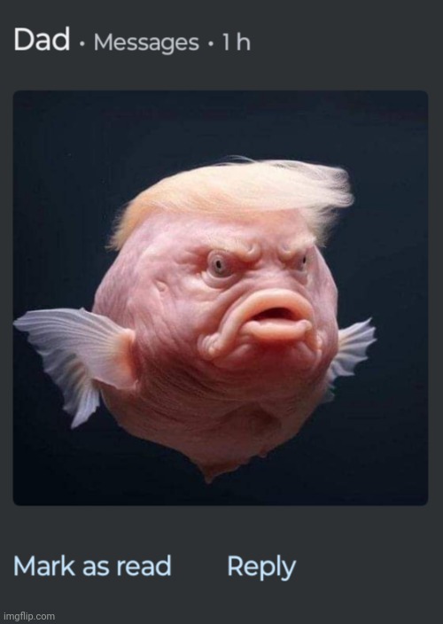What the fuck did my dad just send me | made w/ Imgflip meme maker