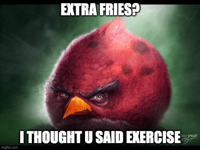 Realistic Angry Bird (big red) | EXTRA FRIES? I THOUGHT U SAID EXERCISE | image tagged in realistic angry bird big red | made w/ Imgflip meme maker