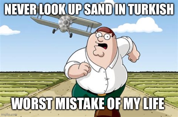 Not really sure if it counts as NSFW but just in case imma mark it | NEVER LOOK UP SAND IN TURKISH; WORST MISTAKE OF MY LIFE | image tagged in worst mistake of my life | made w/ Imgflip meme maker