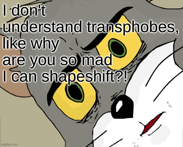 Unsettled Tom | I don't understand transphobes, like why are you so mad I can shapeshift?! | image tagged in memes,unsettled tom | made w/ Imgflip meme maker
