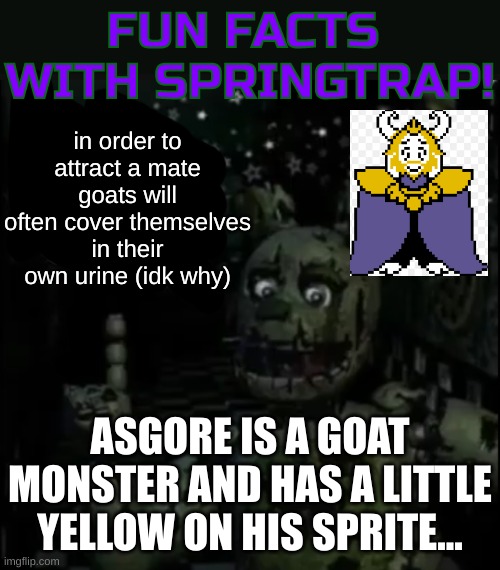 probably his hair but..... | in order to attract a mate goats will often cover themselves in their own urine (idk why); ASGORE IS A GOAT MONSTER AND HAS A LITTLE YELLOW ON HIS SPRITE... | image tagged in fun facts with springtrap,asgore,undertale | made w/ Imgflip meme maker